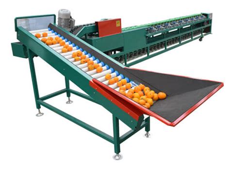 fruit machine parts|Fruit and Vegetable Processing Machine Parts .